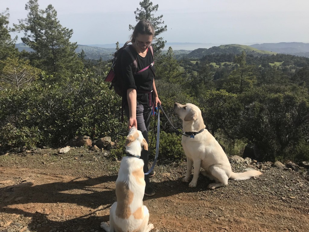 On Rocky Ridge Road in Fairfax